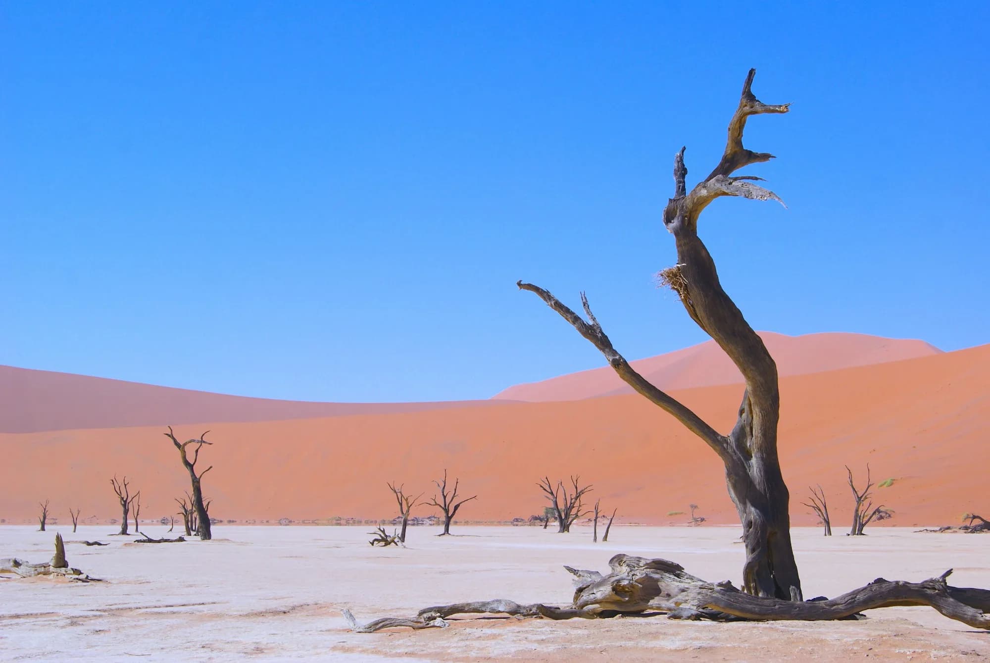 Namibia