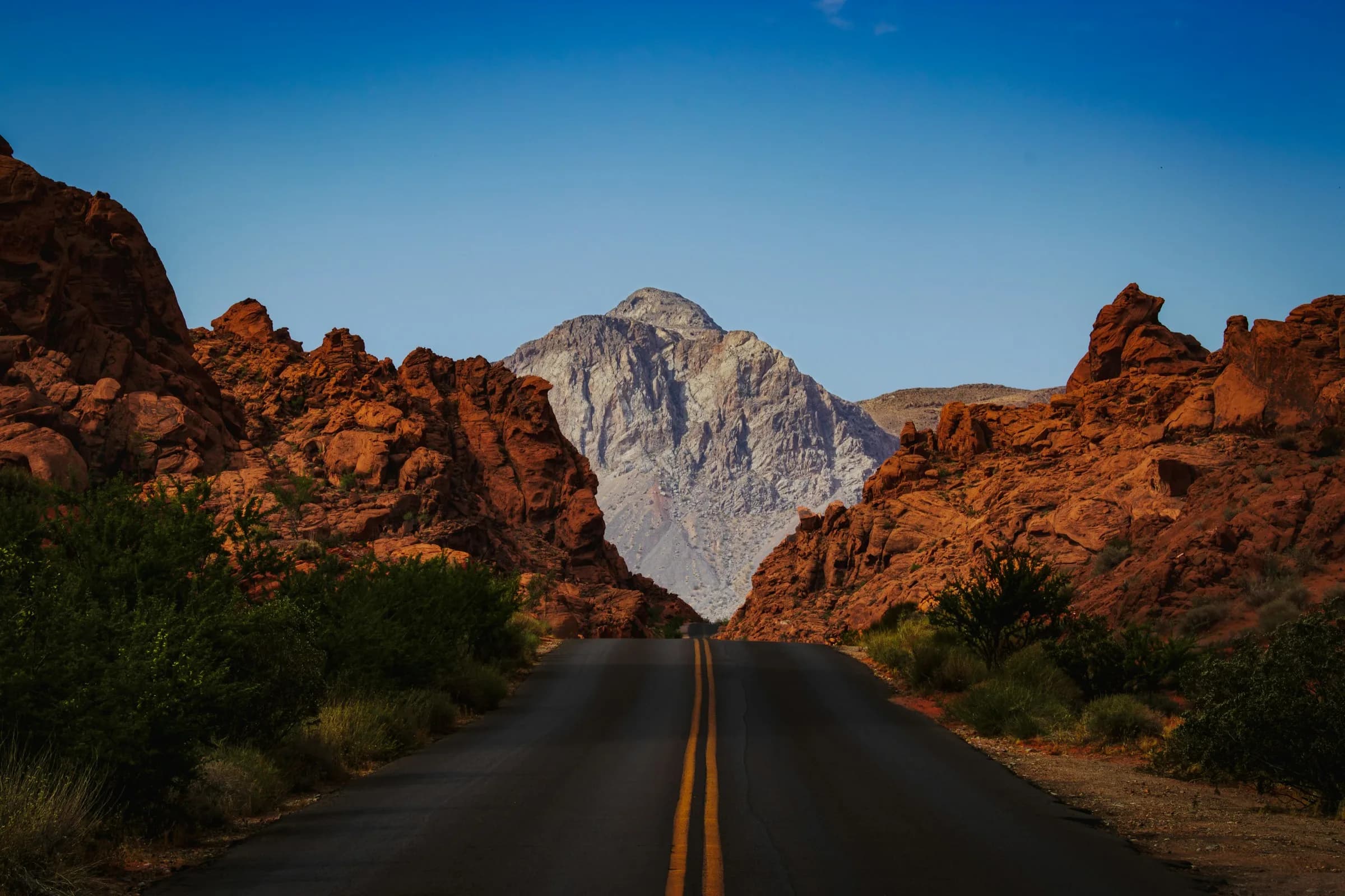 Field notes from the road